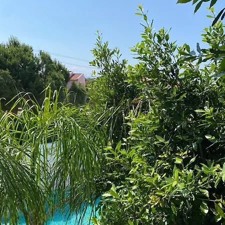 Flora Boheme Butik Hotell *