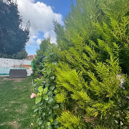 Flora Boheme Butik Cesme