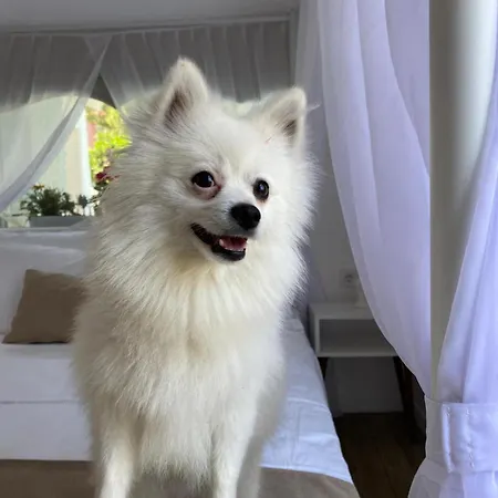 Flora Boheme Butik Hotel Çeşme