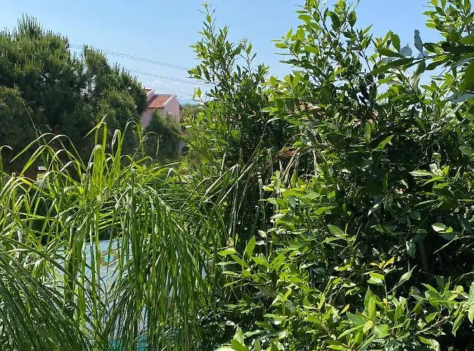 Flora Boheme Butik Szálloda *